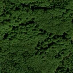 Satellite imagery of Trenzer Berg, DE
