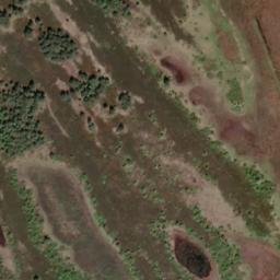 Satellite imagery of Poggenort, DE
