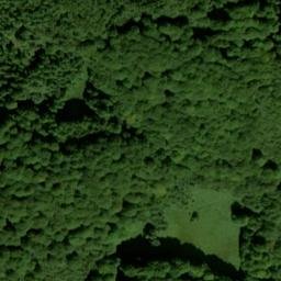Satellite imagery of Trenzer Berg, DE