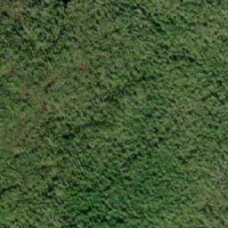 Satellite imagery of Mount Bonwick, CA