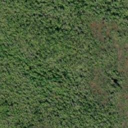 Satellite imagery of Mount Bonwick, CA