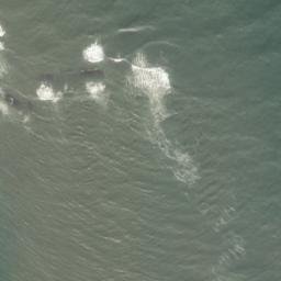 Satellite imagery of Kettle Ness, GB