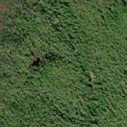 Satellite imagery of Mount Bonwick, CA