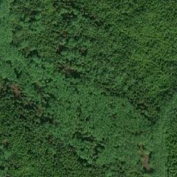 Satellite imagery of Mount Griffin, CA