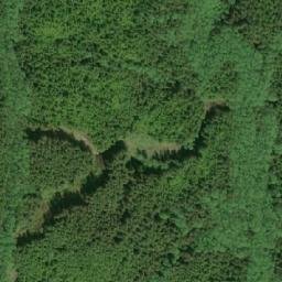 Satellite imagery of Mount Griffin, CA