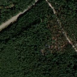 Satelita
