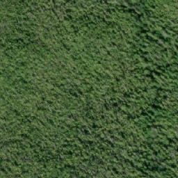 Satellite imagery of Mount Bonwick, CA