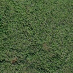 Satellite imagery of Mount Bonwick, CA