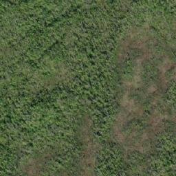 Satellite imagery of Mount Bonwick, CA
