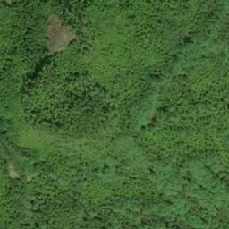 Satellite imagery of Mount Griffin, CA