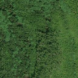 Satellite imagery of Mount Griffin, CA