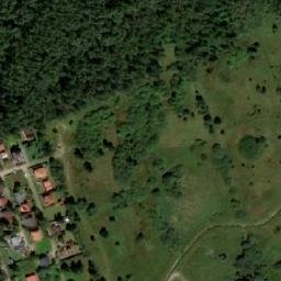 Satelita