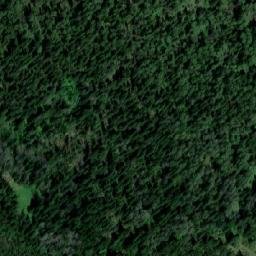Satellite imagery of Иня, KZ