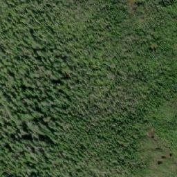 Satellite imagery of Mount Henry, CA