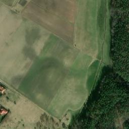 Satelita