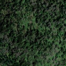 Satellite imagery of Гладковский, KZ