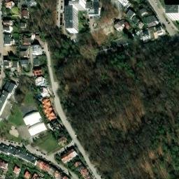 Satelita