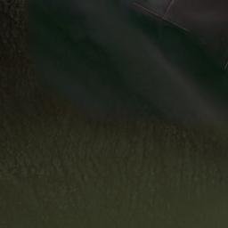 Satellite imagery of Dickehörn, DE
