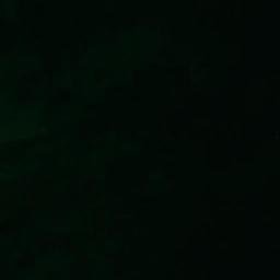 Satelita
