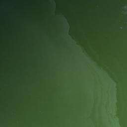 Satellite imagery of Kamen’ Shchukinskiy, RU