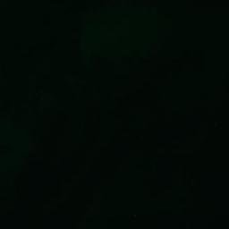 Satelita