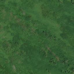Satellite imagery of Forgetmenot Mountain, CA
