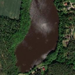 Satelita