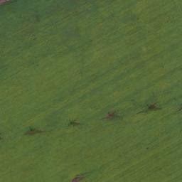 Satellite imagery of Пермяково, KZ