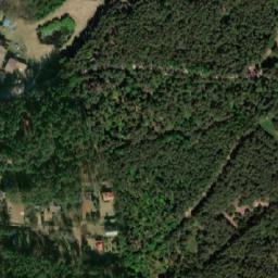 Satelita