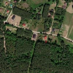 Satelita