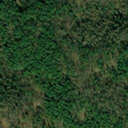 Satellite imagery of Borsucza Głowa, PL
