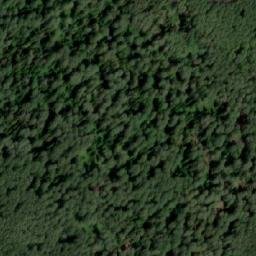 Satellite imagery of Дмитриевка, KZ
