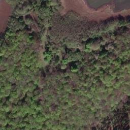Satellite imagery of Königsberg, DE