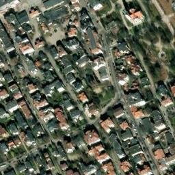 Satelita