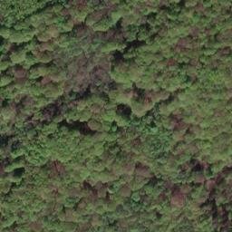 Satellite imagery of Königsberg, DE