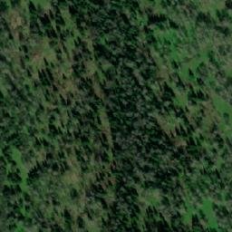 Satellite imagery of Лебедева Пасека, KZ