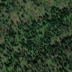 Satellite imagery of Лебедева Пасека, KZ