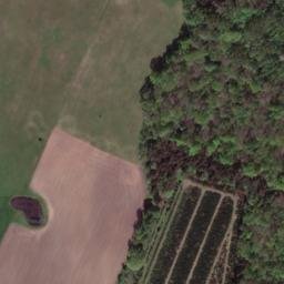 Satellite imagery of Grützberg, DE