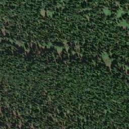 Satellite imagery of Wapiti Pass, CA