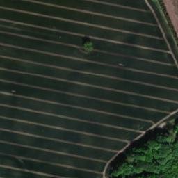 Satellite imagery of Hohen Borghorst, DE