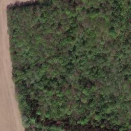 Satellite imagery of Grützberg, DE