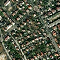 Satelita