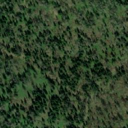 Satellite imagery of Лебедева Пасека, KZ