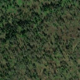 Satellite imagery of Лебедева Пасека, KZ