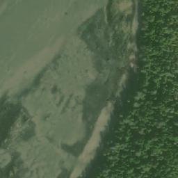Satellite imagery of Tree Bluff, CA