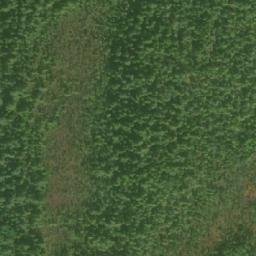 Satellite imagery of Tree Bluff, CA