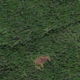 Satellite imagery of Mount Attree, CA