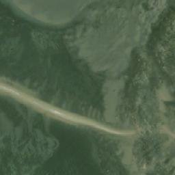 Satellite imagery of Tree Bluff, CA