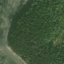 Satellite imagery of Tree Bluff, CA