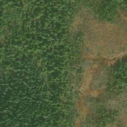 Satellite imagery of Tree Bluff, CA
